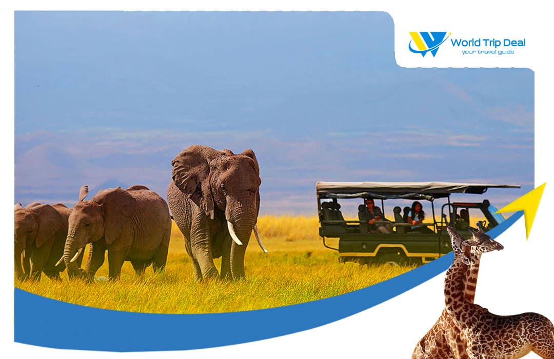 السياحة في كينيا - افيال في كينيا - كينيا - ورلد تريب ديل