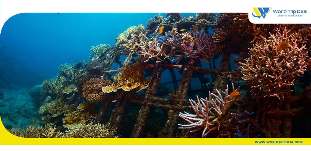 4 dive into underwater paradise – world trip deal