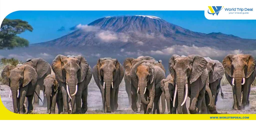 Amboseli national park - tourism in kenya - kenya - worldtripdeal