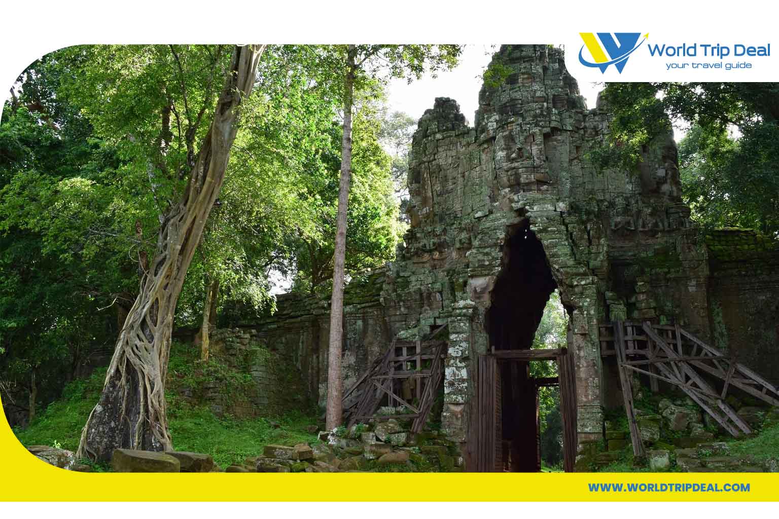 السياحة في كمبوديا-غابات كمبوديا - ورلد تريب ديل