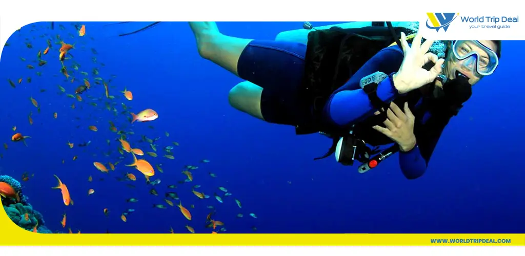 Dive into adventure zanzibar scuba diving – world trip deal