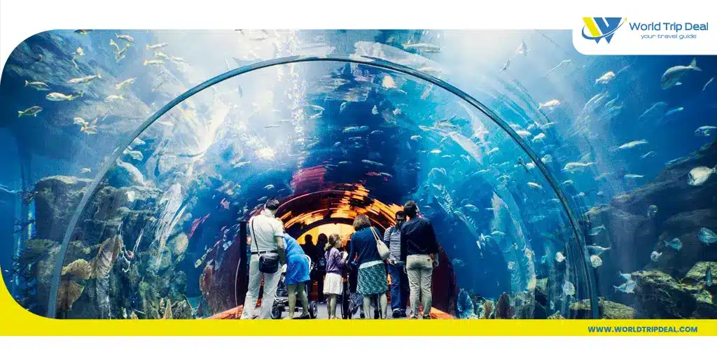 Dubai aquarium underwater zoo – world trip deal