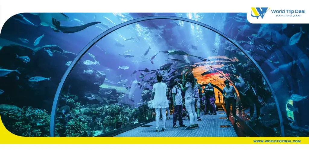 Dubai aquarium and underwater zoo – ورلد تريب ديل