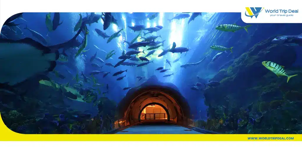 Dubai aquarium – ورلد تريب ديل