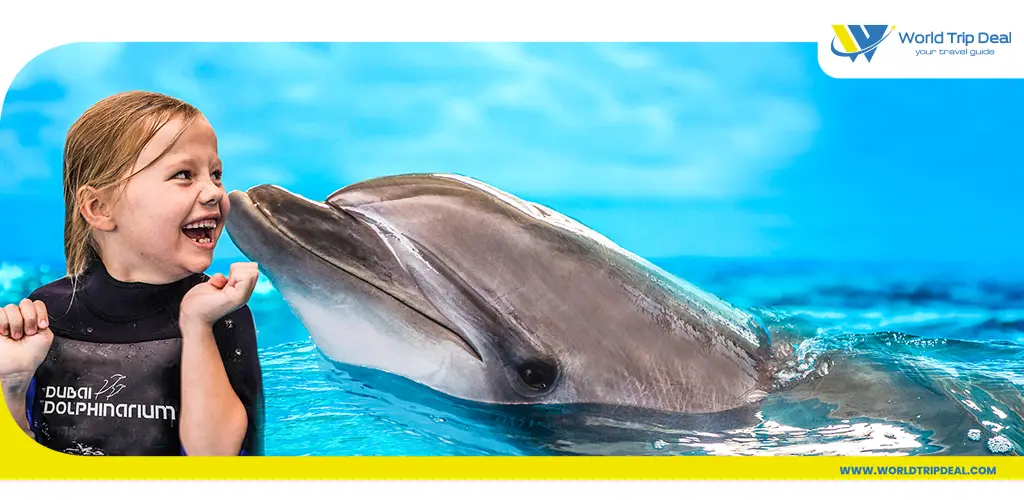 Dubai dolphinarium – world trip deal