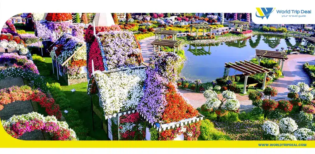 Dubai miracle garden – ورلد تريب ديل