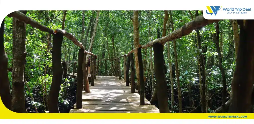Explore the jozani forest – world trip deal