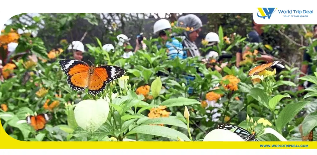 Go and see zanzibar butterfly centre – world trip deal