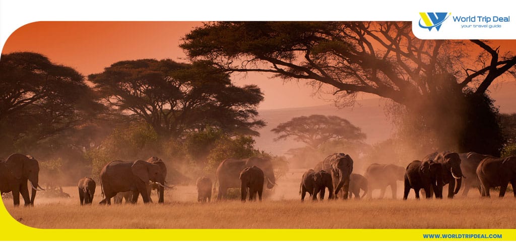 Kenya safari -- tourism in kenya - kenya - worldtripdeal