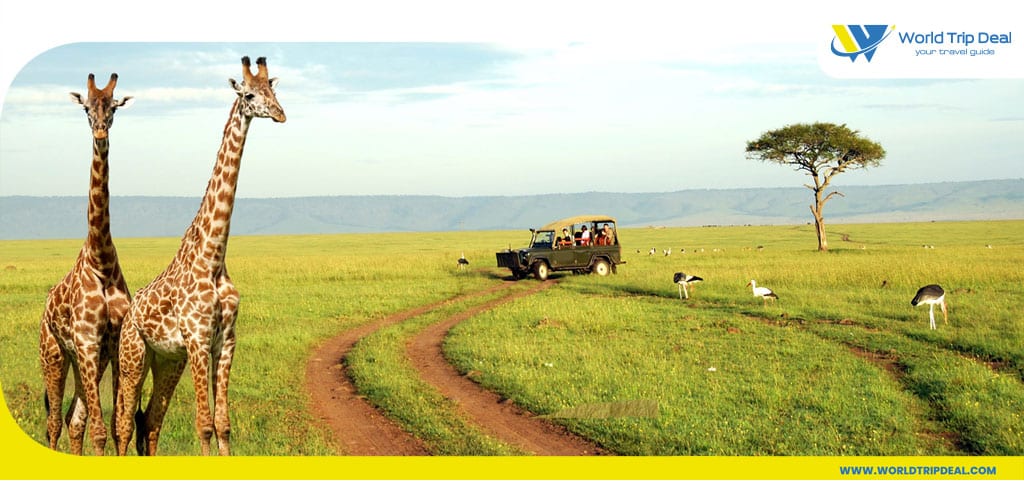 سفاري كينيا سيارة دفع رباعي و السياحة في كينيا - كينيا - ورلد تريب ديل
