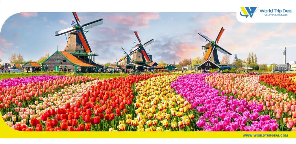 كيوكينهوف - أفضل اماكن السياحة في هولندا - ورلد تريب ديل