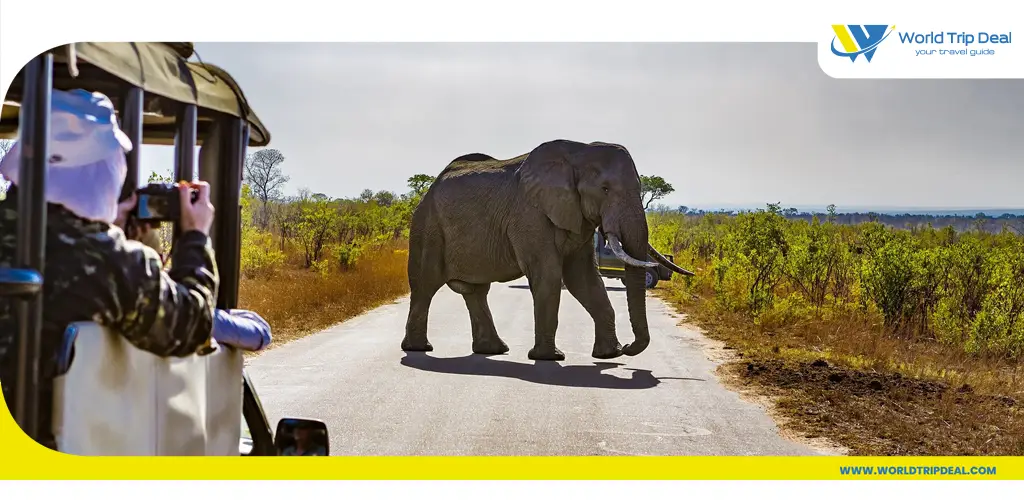 Kruger national park – world trip deal