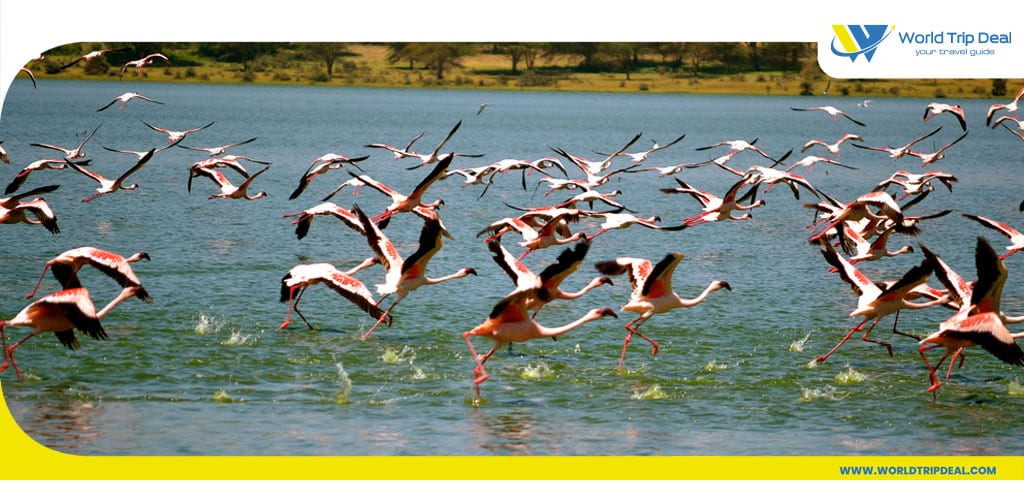بحيرة اليمنتايتا  و السياحة في كينيا - كينيا - ورلد تريب ديل