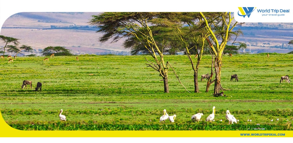 بحيرة نيفاشا  و السياحة في كينيا - كينيا - ورلد تريب ديل