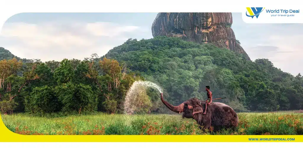 Maximize your sri lanka tourism experience the best time to travel – ورلد تريب ديل