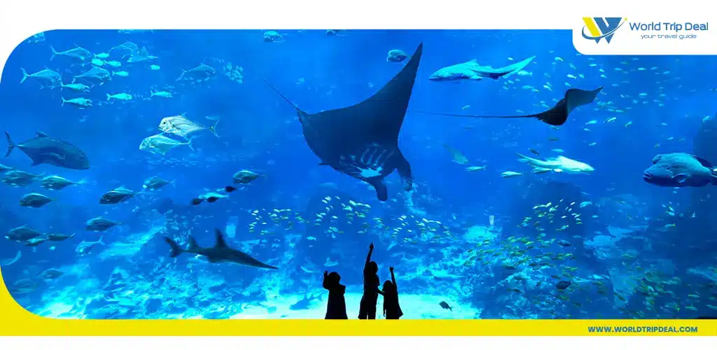 S. E. M aquarium – world trip deal