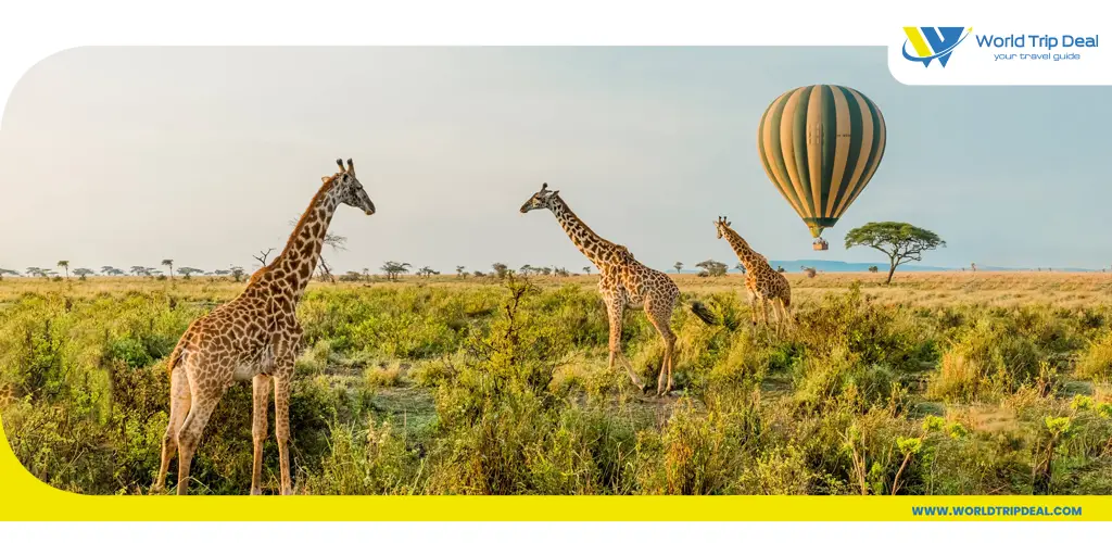 السياحة في تنزانيا - حديقة سيرينجيتي الوطنية  - تنزانيا  - ورلد تريب ديل