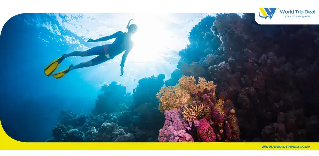 Snorkel or scuba dive in the red sea – world trip deal
