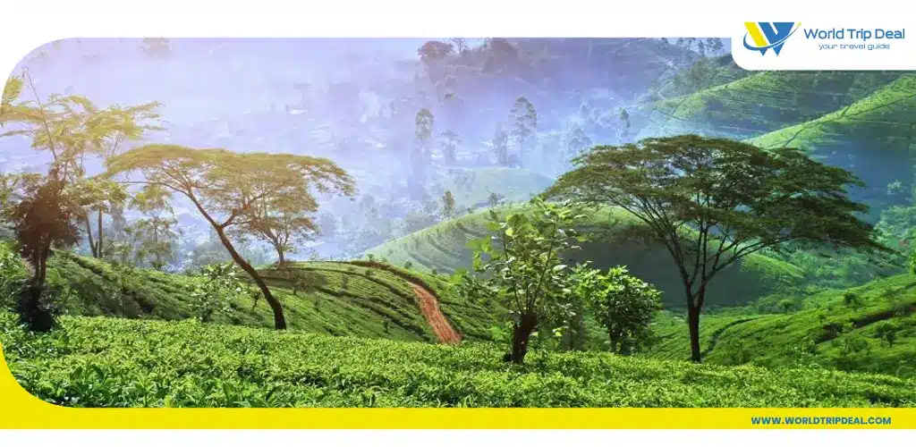 Sri lanka tourism package your gateway to adventure and – ورلد تريب ديل