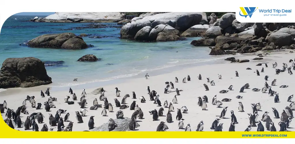 The beaches of south africa – ورلد تريب ديل