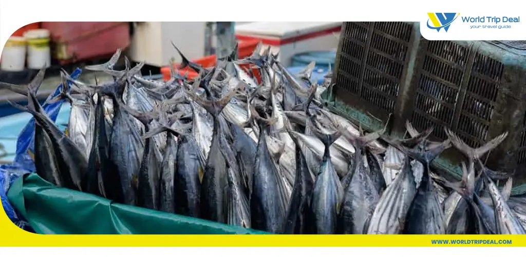 The fish market – ورلد تريب ديل