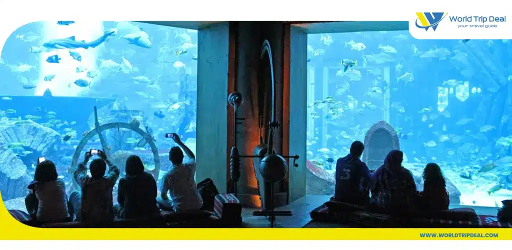 The lost chambers aquarium – world trip deal