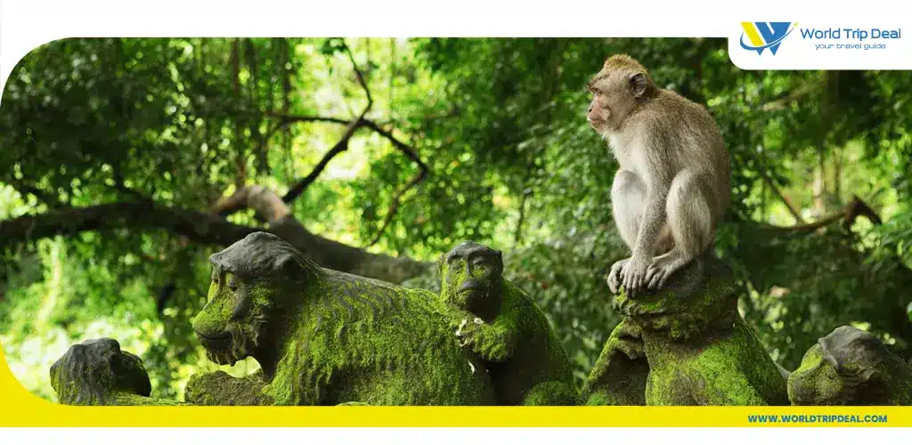 القرود في بالي – ورلد تريب ديل