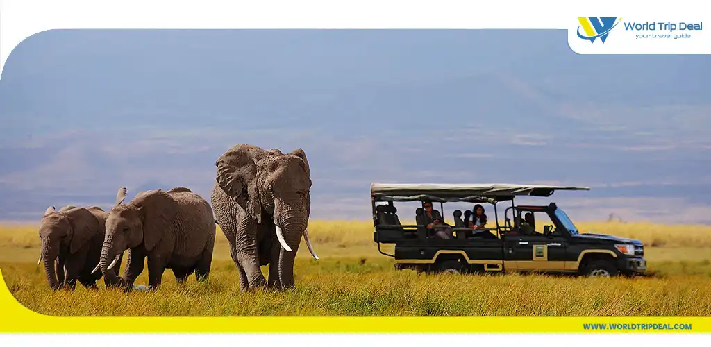 Habituated elephant in kenya – world trip deal