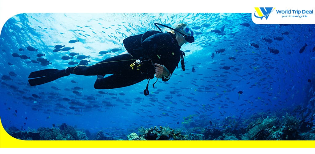 Scuba diving – world trip deal
