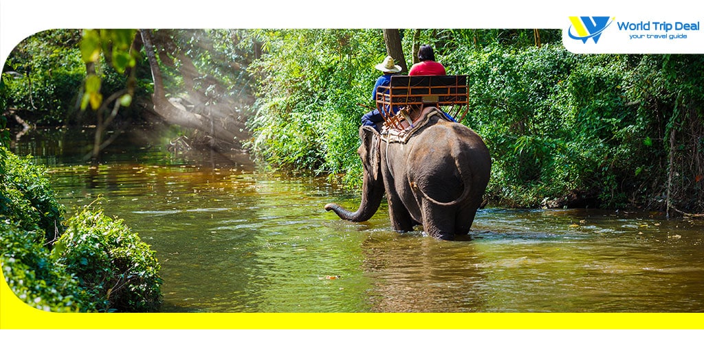 Tourist riding on elephants trekking in thailand – world trip deal