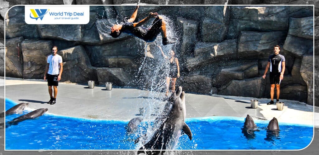 Batumi dolphinarium – world trip deal
